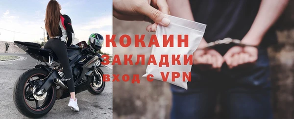 стаф Алзамай