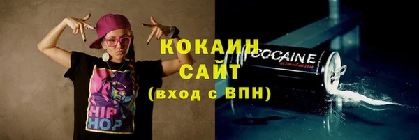 стаф Алзамай