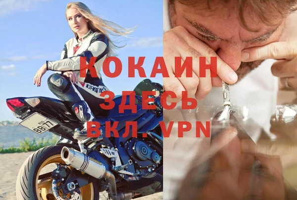гидра Алексин