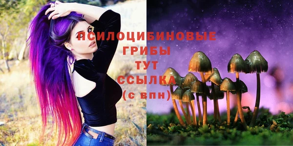 стаф Алексеевка