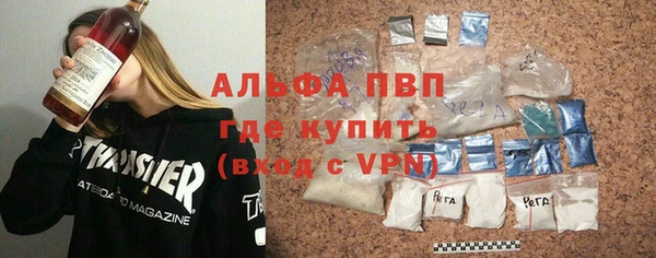 стаф Алзамай