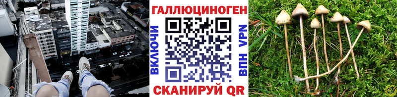 Псилоцибиновые грибы ЛСД  Ипатово 